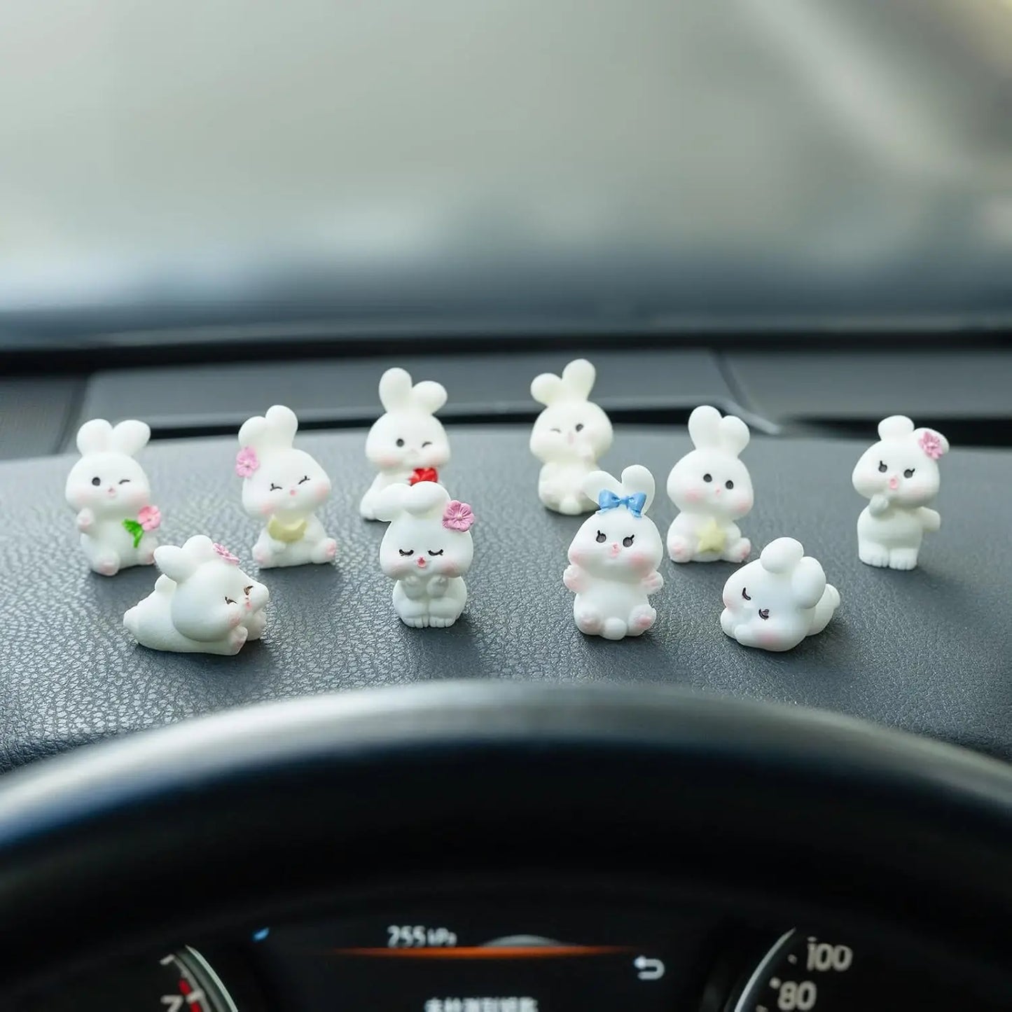 Adorable Companions For Every Ride